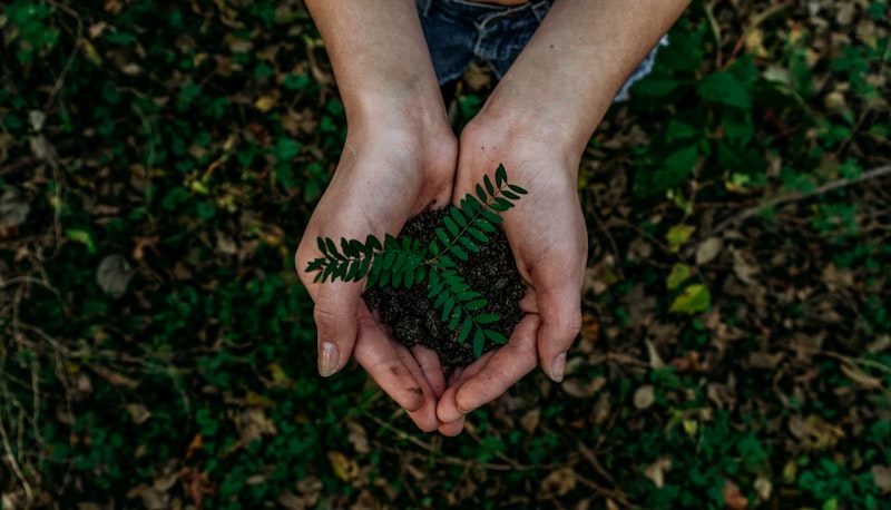 Sostenibilidad y Eco