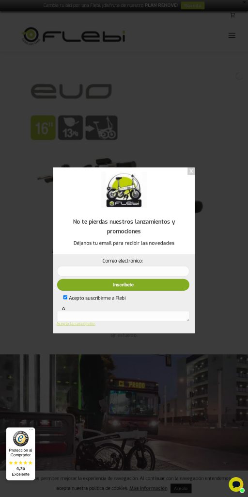 Captura de la portada de flebi.com