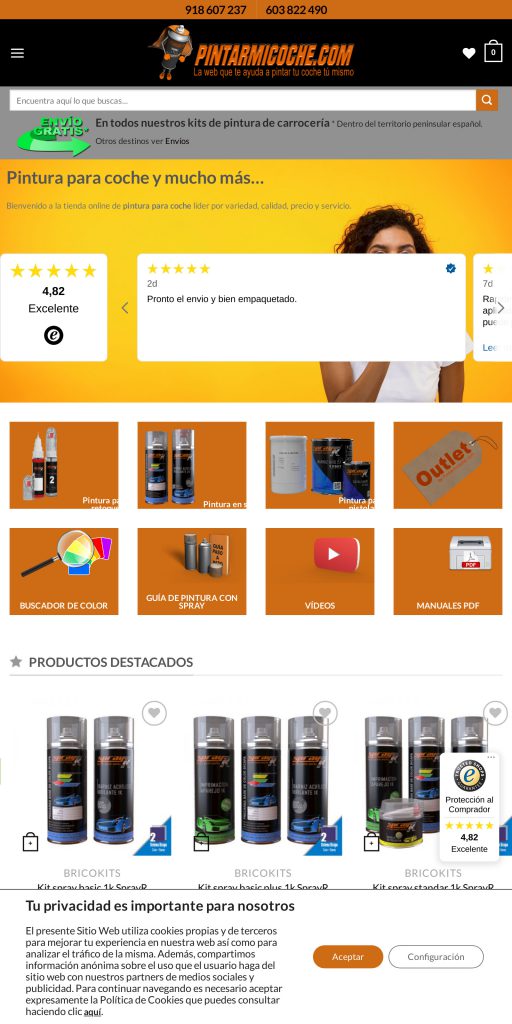Captura de la portada de pintarmicoche.com