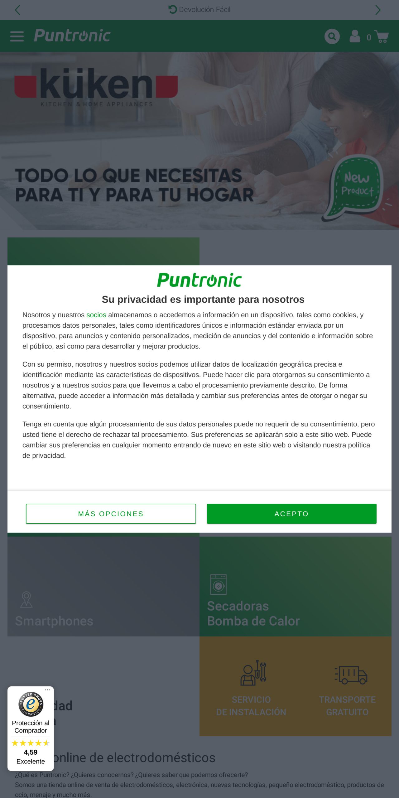 puntronic.com
