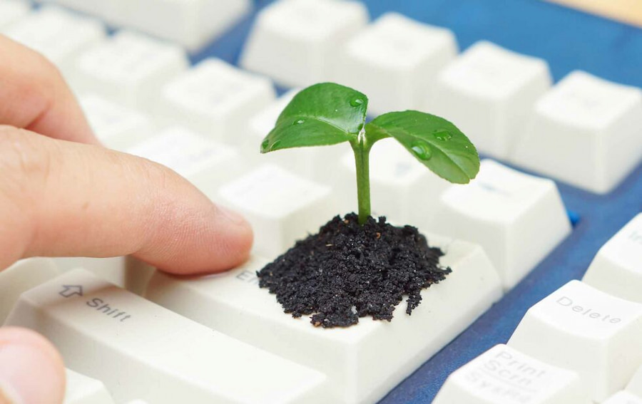 huella de carbono de tu ecommerce