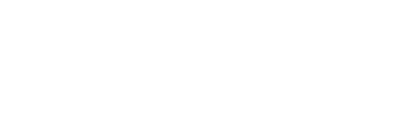Logo de Adyen