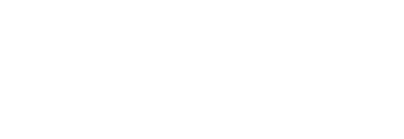 Logo de Elasticsearch